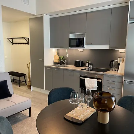 Loft With Naesijaervi Views Appartement