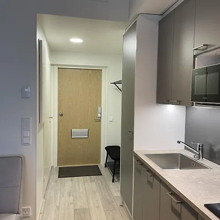 Loft With Naesijaervi Views * Tampere